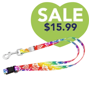 24" Polyester Loop Colorful Hawaiian by Groom Loop