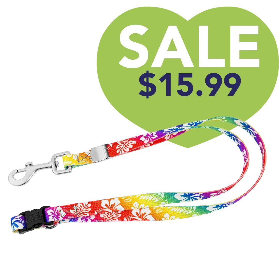 24" Polyester Loop Colorful Hawaiian by Groom Loop