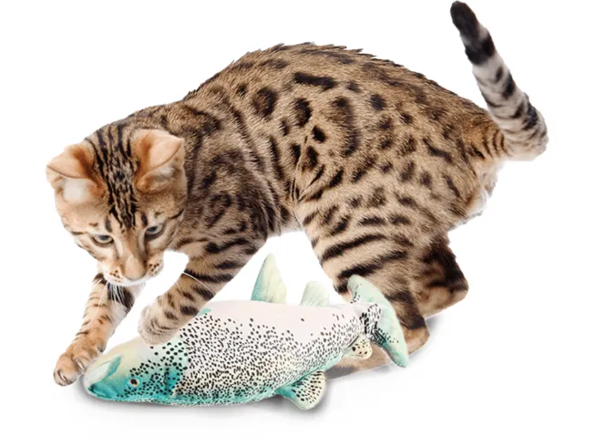 AFP Natrual Instinct - Jittering Fish Trout