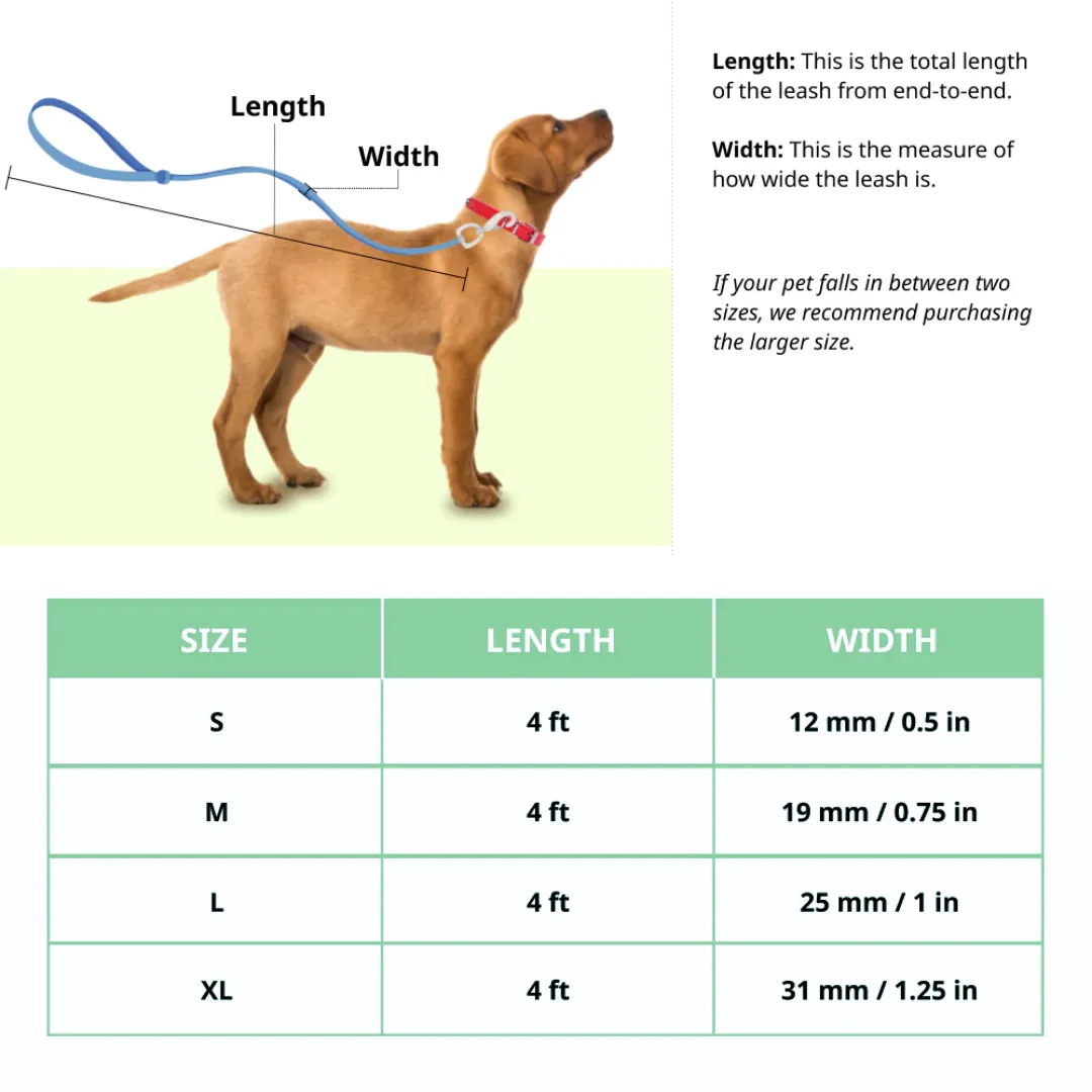 Basil Padded Dog Leash – Grey, Soft Handle with Comfortable Grip for Walking and Training Dogs of All Sizes