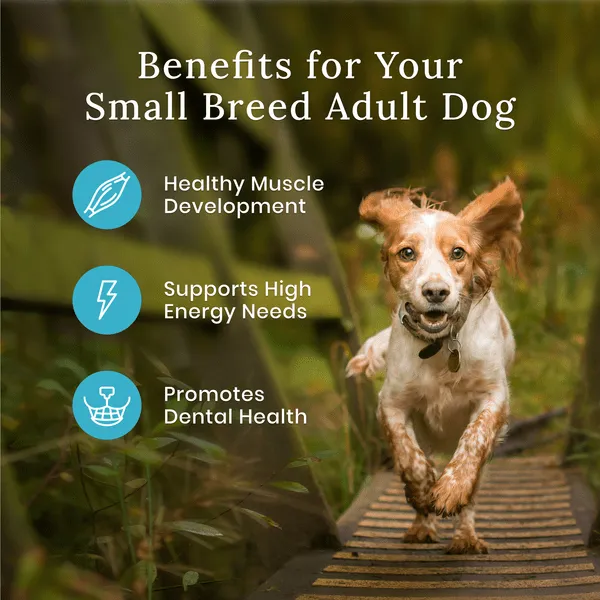 BLUE Wilderness Small Breed Chicken Recipe with Grains Dry Dog Food