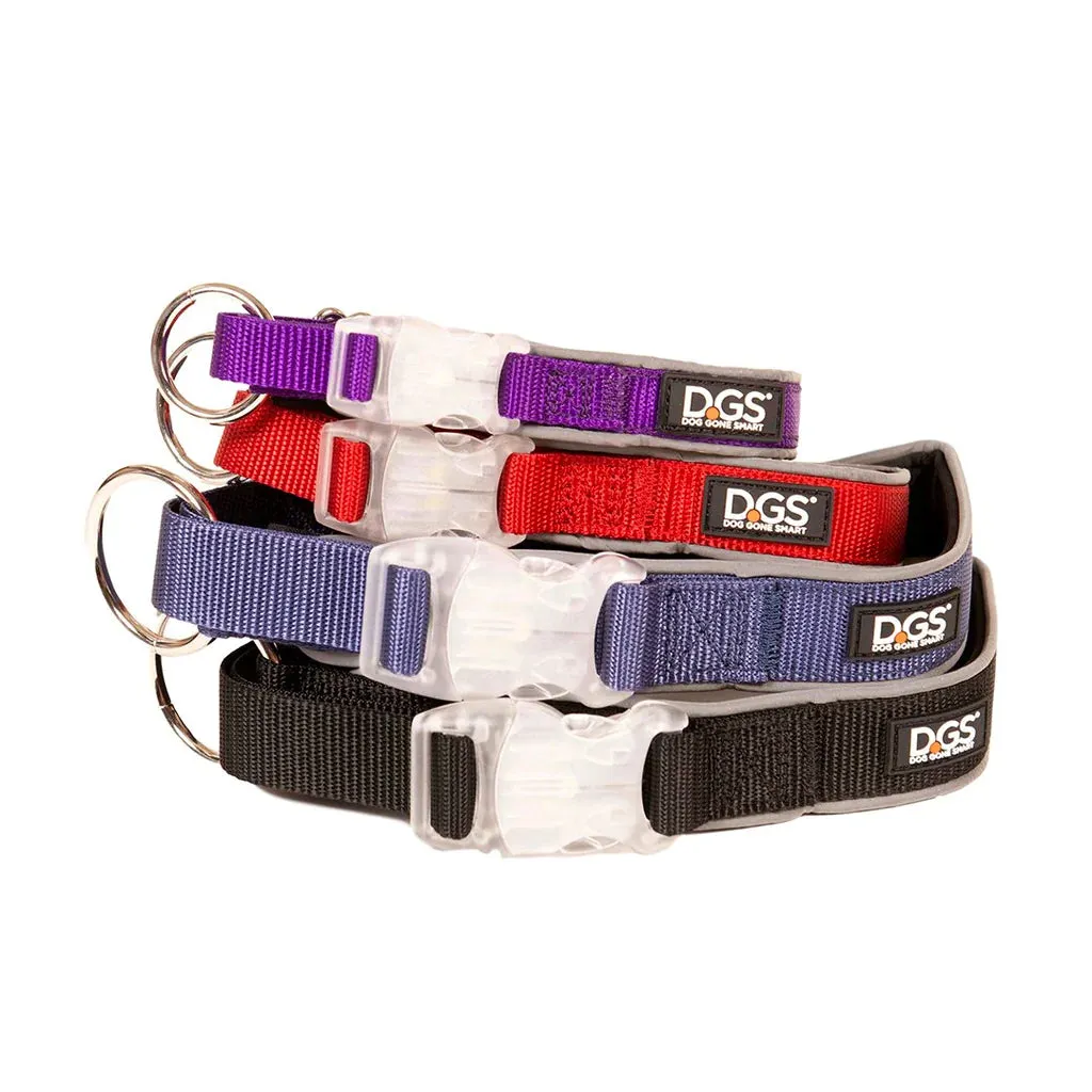 DGS Comet LED Safety Collar