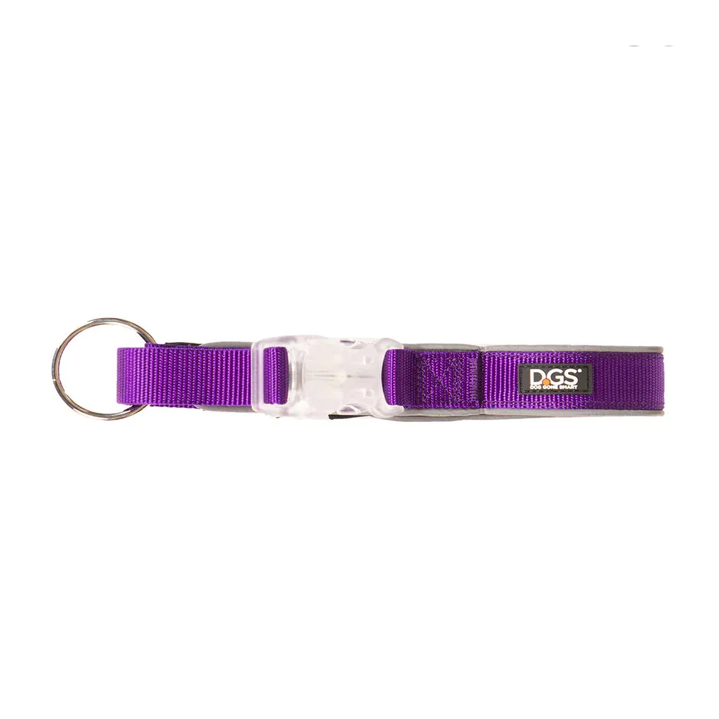 DGS Comet LED Safety Collar