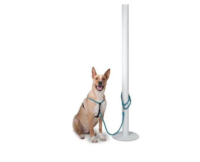 Leisure Rope Adjustable Dog Harness