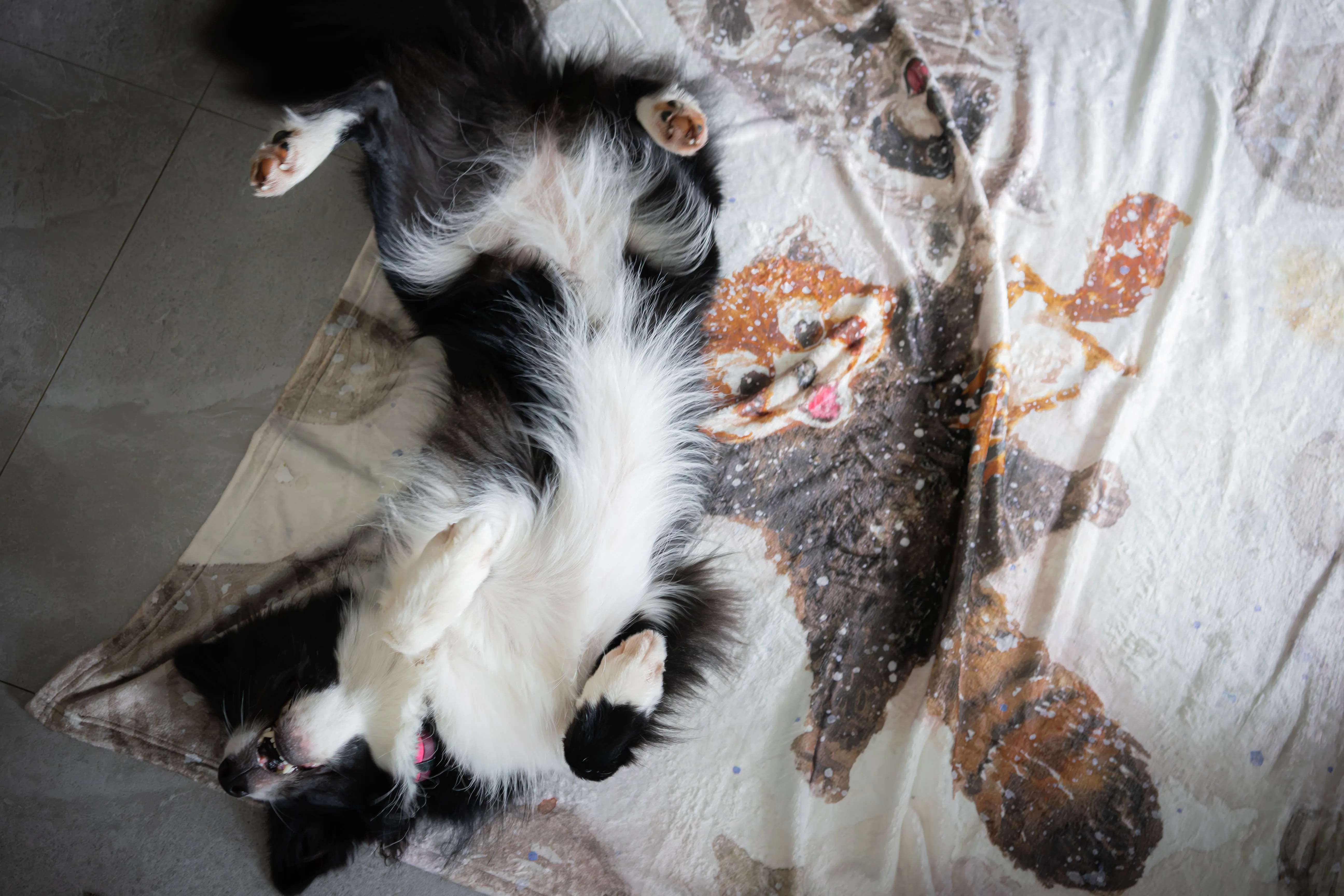 PawfectSnugs Flannel Blanket