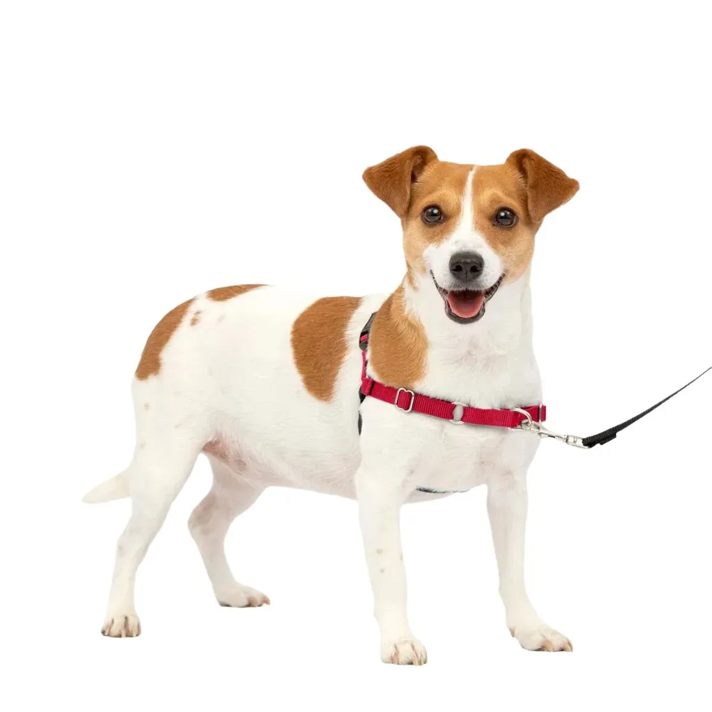 PetSafe Easy Walk Dog Harness Black/Red