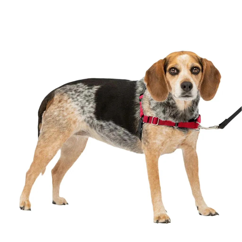 PetSafe Easy Walk Dog Harness Black/Red