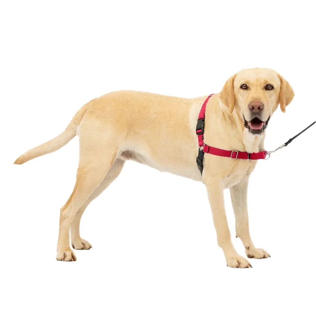 PetSafe Easy Walk Dog Harness Black/Red
