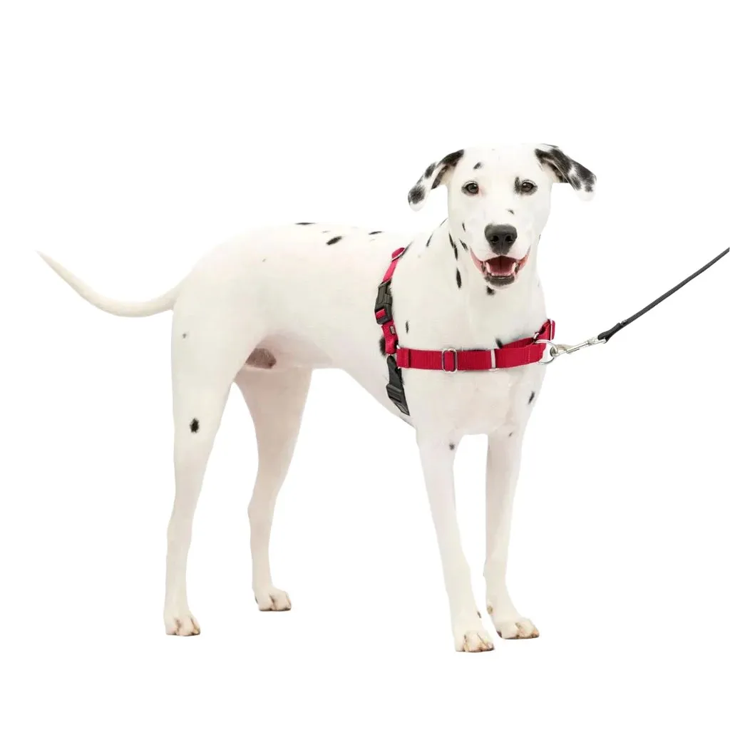 PetSafe Easy Walk Dog Harness Black/Red