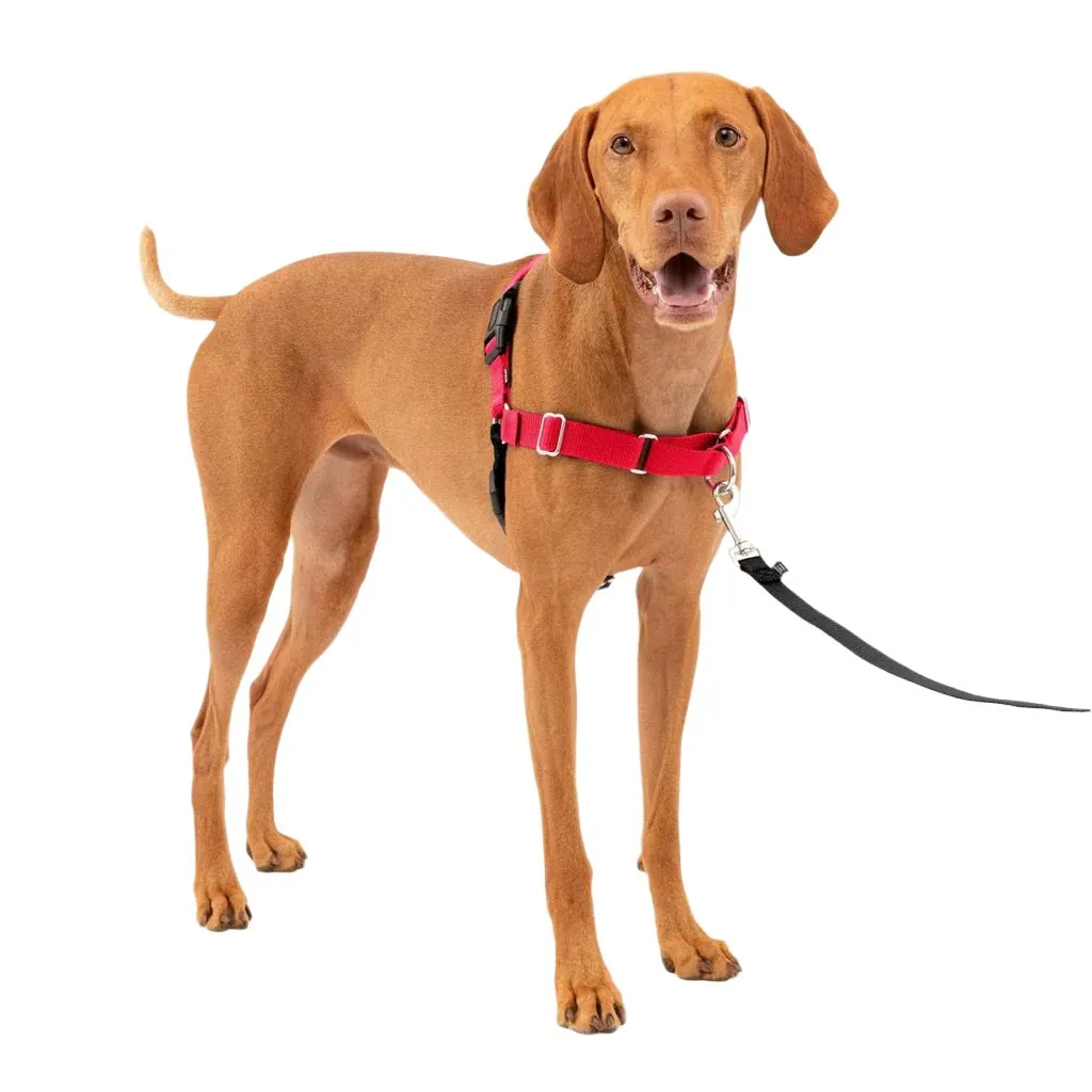 PetSafe Easy Walk Dog Harness Black/Red