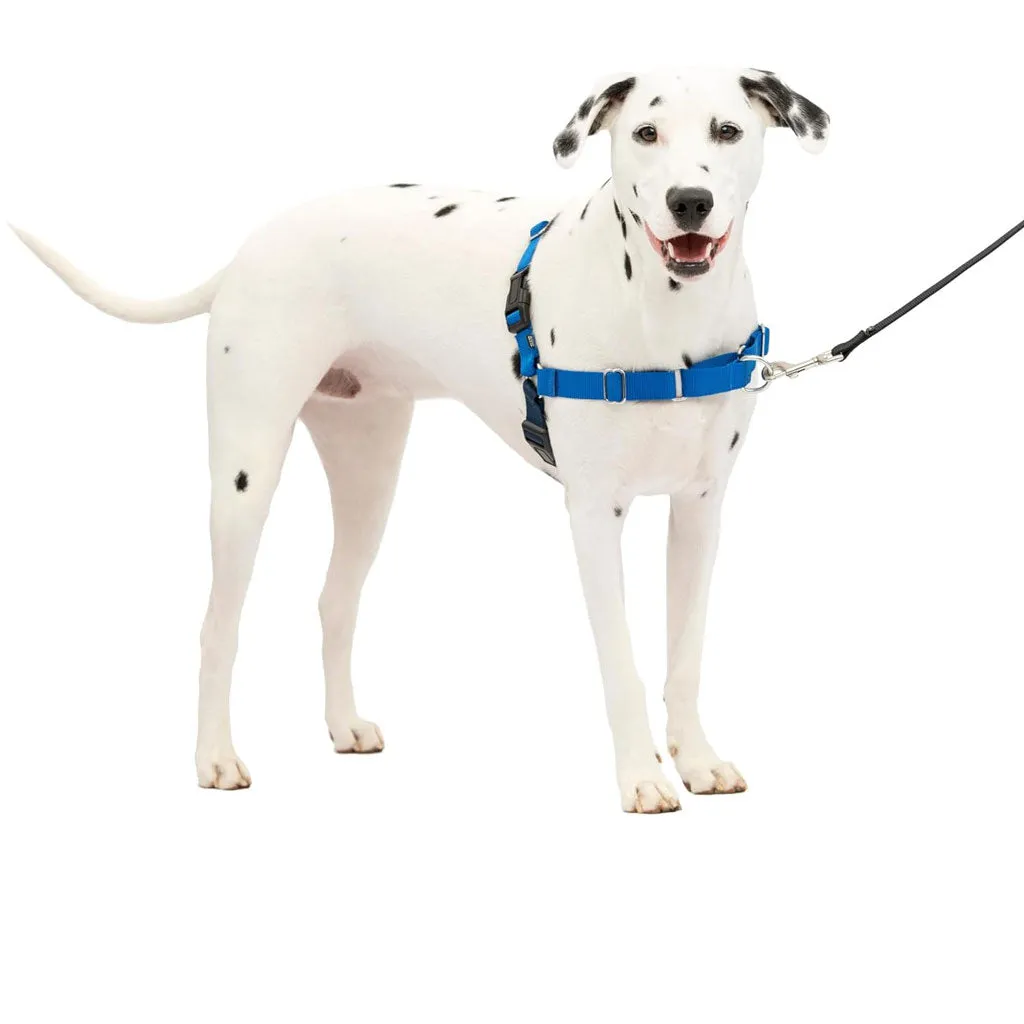 PetSafe Easy Walk Dog Harness Royal Blue/Navy