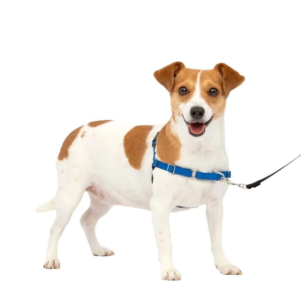 PetSafe Easy Walk Dog Harness Royal Blue/Navy