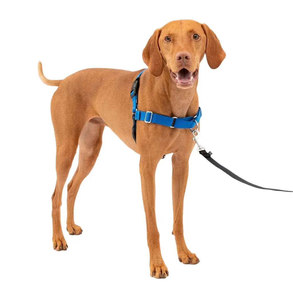 PetSafe Easy Walk Dog Harness Royal Blue/Navy
