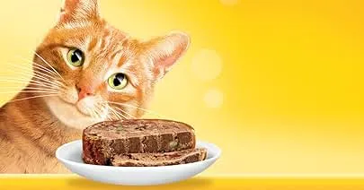 Purina Friskies Tuna Flavour Cat Food - 4 Flavors, 100% Balanced Nutrition - 48 Servings