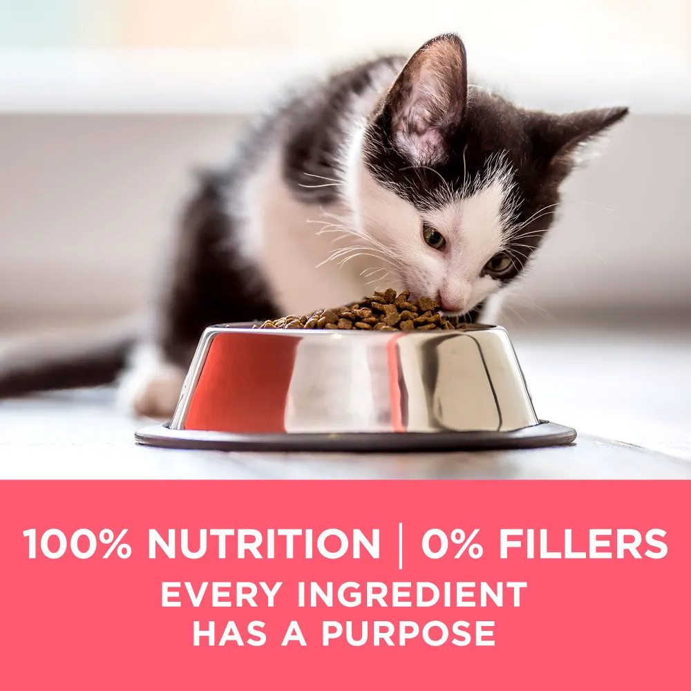 Purina ONE  Plus Healthy Kitten Dry Cat Food