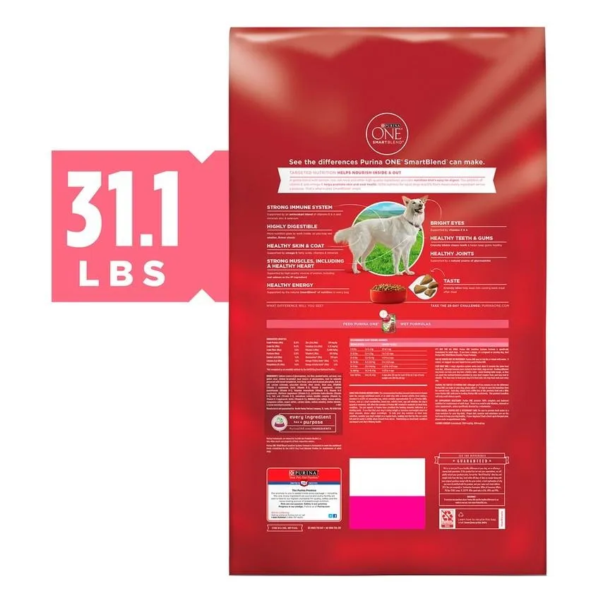 Purina ONE SmartBlend Sensitive Stomach Dry Dog Food