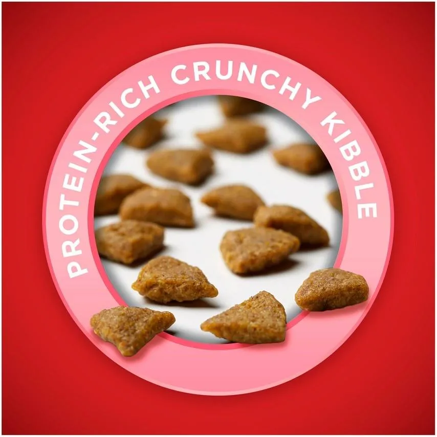 Purina ONE SmartBlend Sensitive Stomach Dry Dog Food