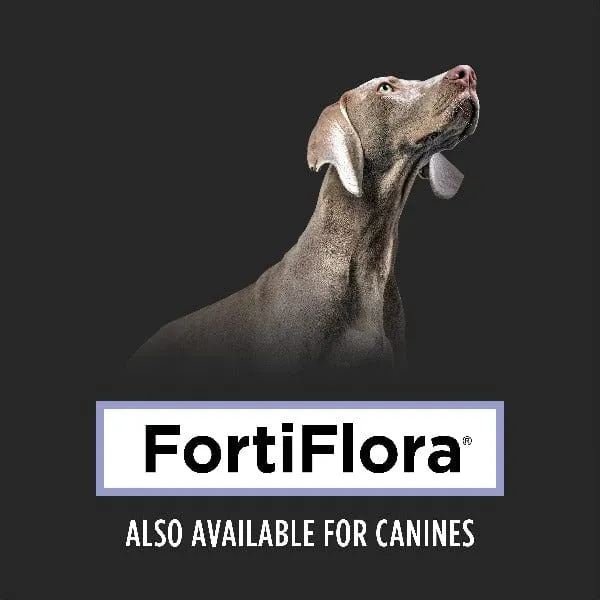 Purina Pro Plan Veterinary Supplements FortiFlora: Powdered Probiotic Supplement for Cats