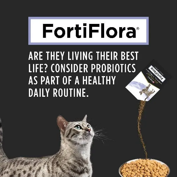 Purina Pro Plan Veterinary Supplements FortiFlora: Powdered Probiotic Supplement for Cats