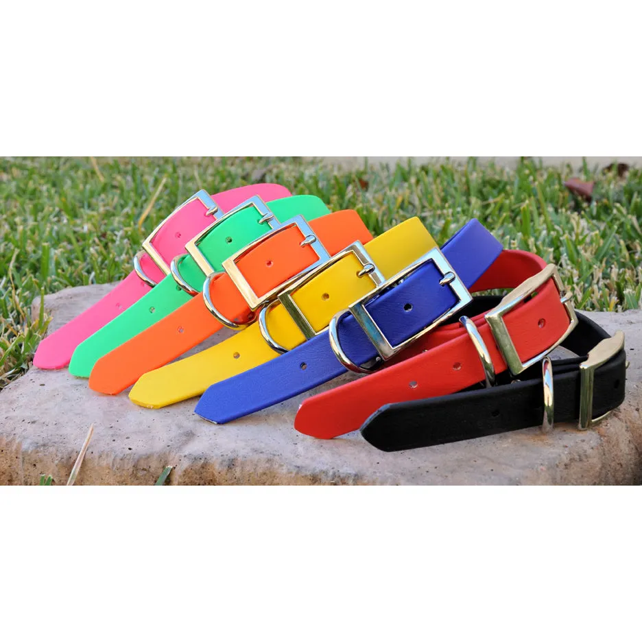 Waterproof Easy Clean Collars - Zeta Dog Collars